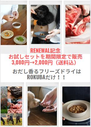 【期間限定】お試しセット
