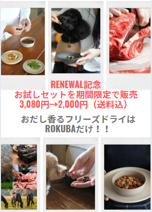 【期間限定】お試しセット（送料無料）